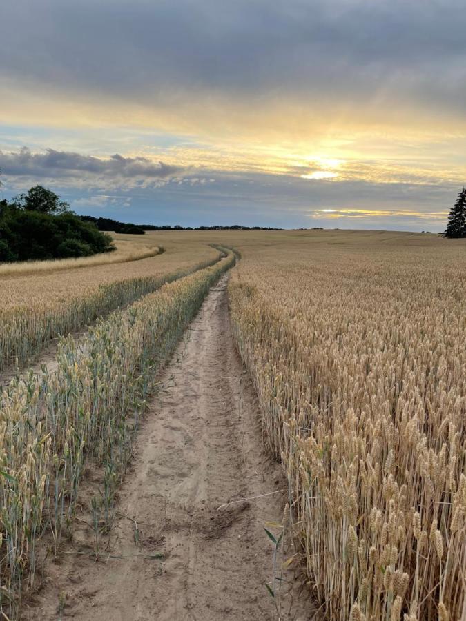 Radlerzimmer Mit Duschbad Und Minikueche In Neu Gaarz, Mitten In Der Natur Eksteriør billede